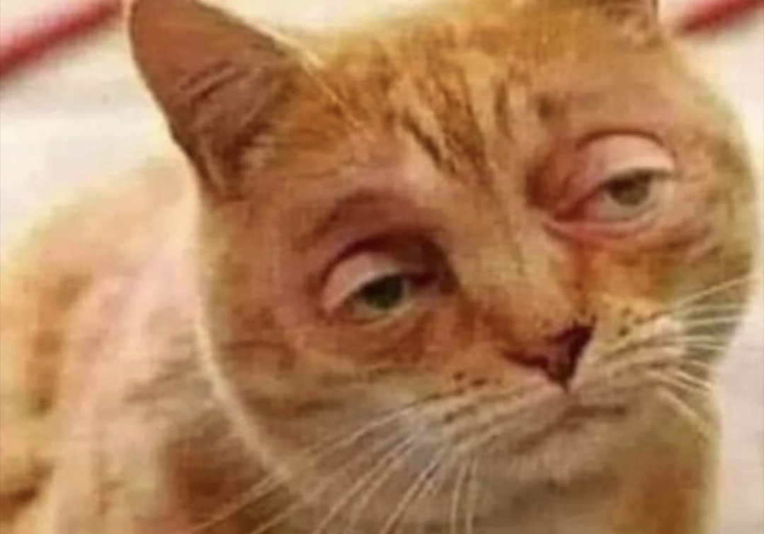 John S L tweet media