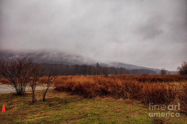 Wallkill National Wildlife Refuge, Sussex New Jersey - a haven for wildlife: fineartamerica.com/featured/wallk… #wildlife #refuge #landscapephotography #buyintoart