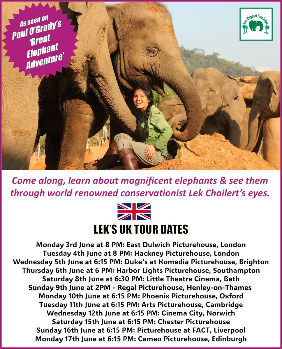 If you enjoyed Paul O'Grady's 'Great Elephant Adventure' then come along, meet Lek in person & see her latest film detailing the plight of Asian elephants 'Elephant Mother' 👉Tickets & more info: bit.ly/3QlEeXk #ElephantMother #UKTour #SaveElephantFoundation