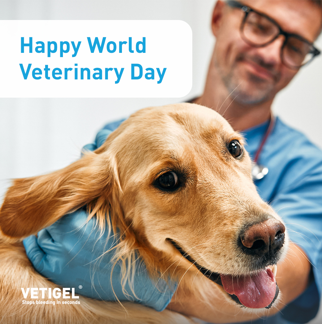 Huge thanks to all the veterinarians out there for their compassion and expertise! You make a world of difference for animals.

#veterinarymedicine #veterinarian #WorldVeterinaryDay2024