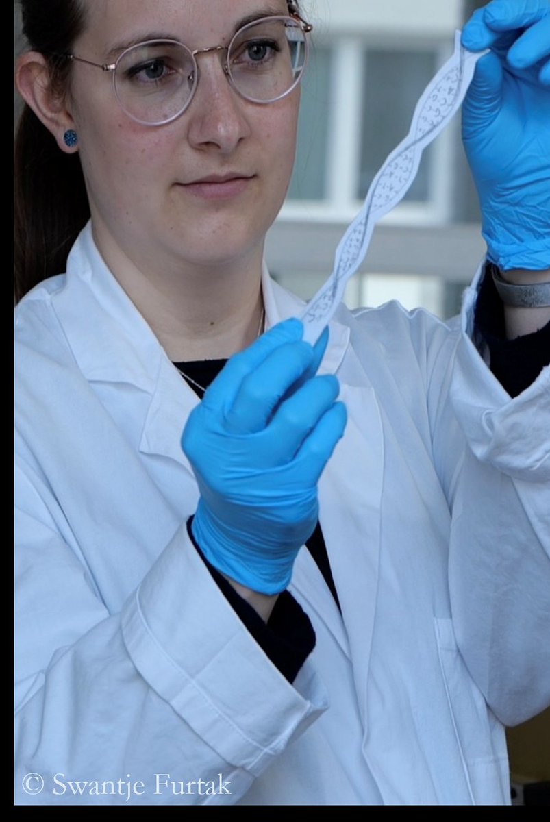 Dr. Lisa Männer tweet media