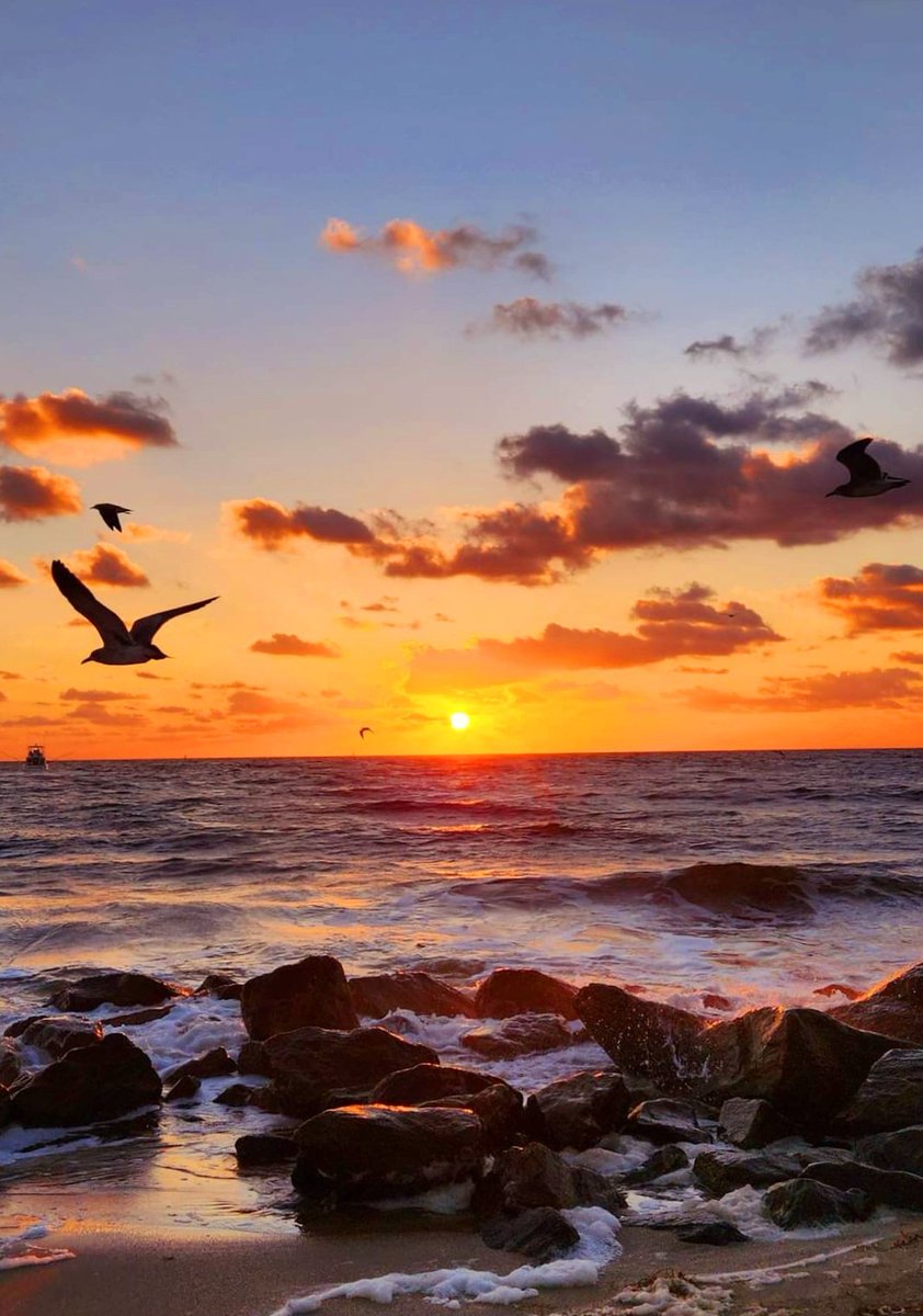 #WeekendVibes at beautiful Boynton Beach, Florida. 🌴🌅💛🐠🧜‍♀️🧜‍♂️🏝🧡🐚 @boyntonbeachrec @VISITFLORIDA @born_saltwater @BeInspiredFL @FloridianCreat1 @AuthenticFL @TheFloridaCoast @AventuraRI #sunrise #satur