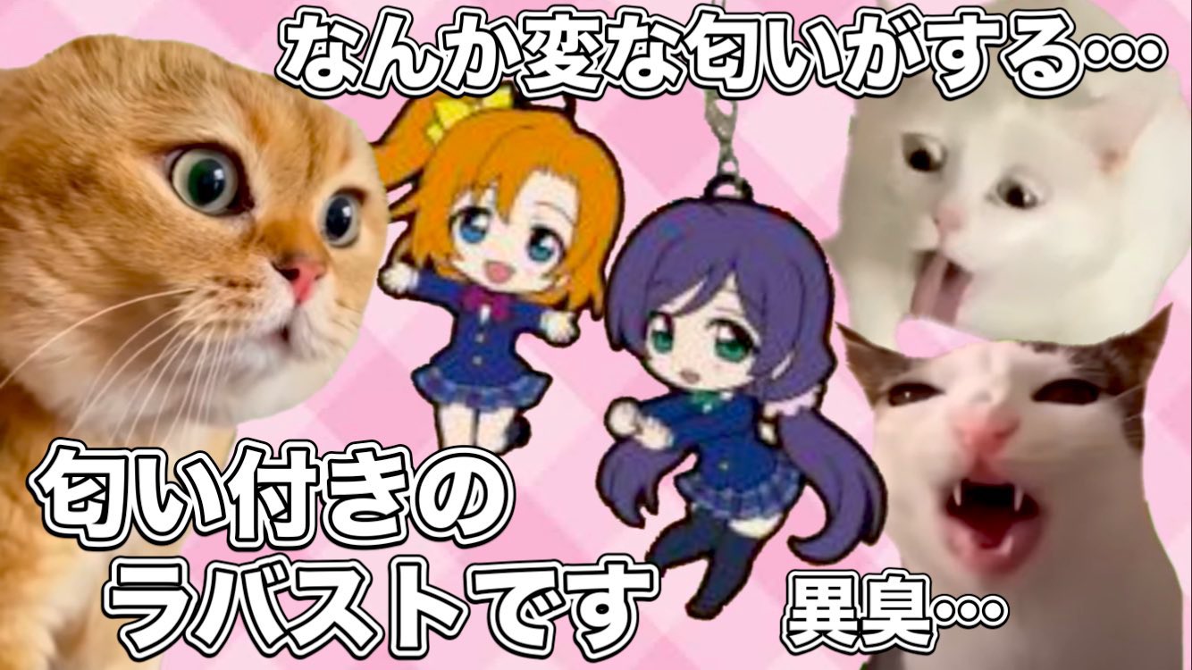 激レア kikko TF01 初期 数個のみ