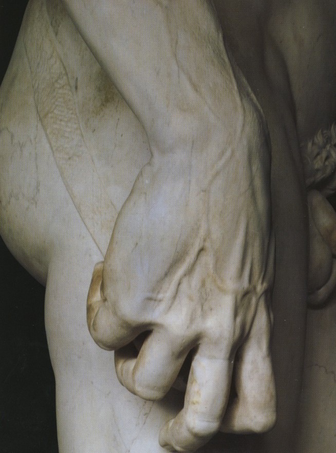 Detail of Michelangelo's David