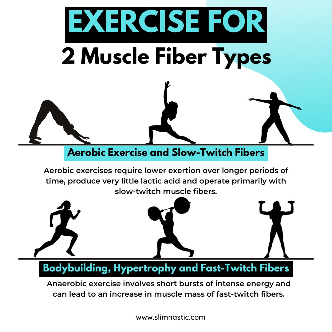 💪 Exercise for Different Muscle Fiber Types 💪

#MuscleFiberTypes #FitnessRoutine #MuscleEndurance #AerobicExercises #MuscleGrowth #HypertrophyTraining #FastTwitchMuscles #SlowTwitchMuscles #CompoundMovements #HIITWorkout #Plyometrics #FitnessJourney #WorkoutTips