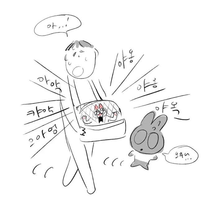 오늘은 우리집 일곱살 아가씨 정기검진을 다녀왔습니다
조금..비만이라는거 말고는 모든 수치 정상~✌️
오래오래살아라 