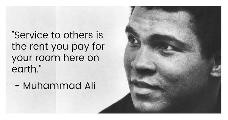 CATO ✨ tweet media