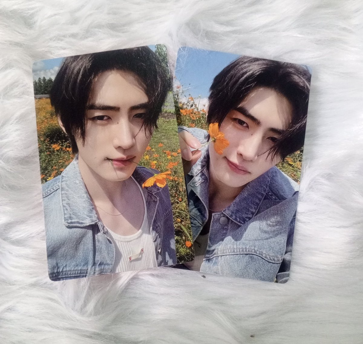 💌: hi @miabudol sorry for the vv late feedback hoon arrived safely po thankyou😍 also tysm for the vv smooth transaction, more buyers to come po🫶

#sofieeproofs
