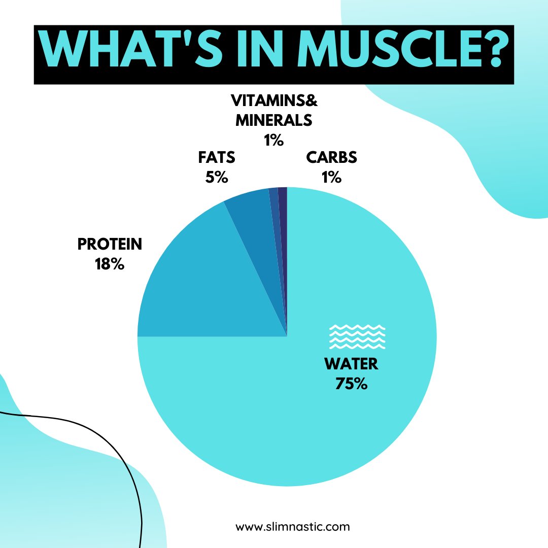 💪 The Composition of Muscle 💪

#MuscleComposition #PowerWithin #HealthyMuscles #NutrientBalance #StayActive #MusclePower #StrengthTraining #FitnessJourney #FuelYourBody #HydrationMatters #NutritionFacts #FitnessFuel #ProteinPower #StrongBody #FitnessFacts #HealthyLiving