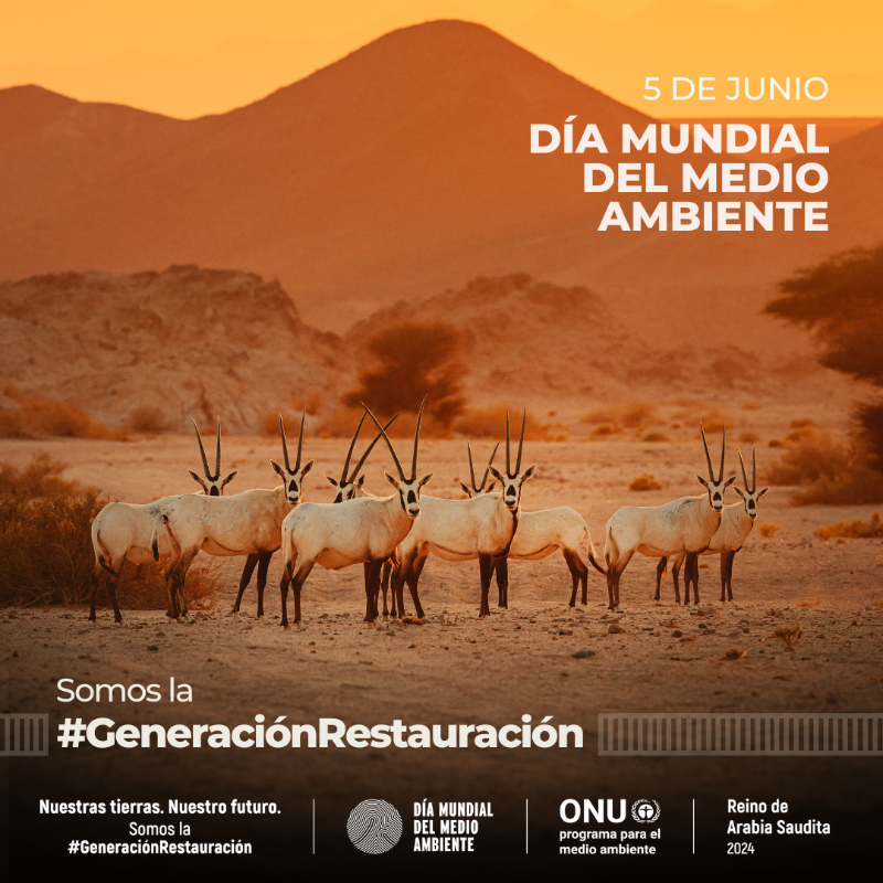 unep_espanol's tweet photo. El 5 de junio es el #DíaDelMedioAmbiente.

El objetivo de 2024 es acelerar la acción en favor de la restauración de las tierras, la resiliencia a la sequía y la desertificación.

Únete a la #GeneraciónRestauración: juntos, restauremos y conservemos nuestras tierras y suelos.