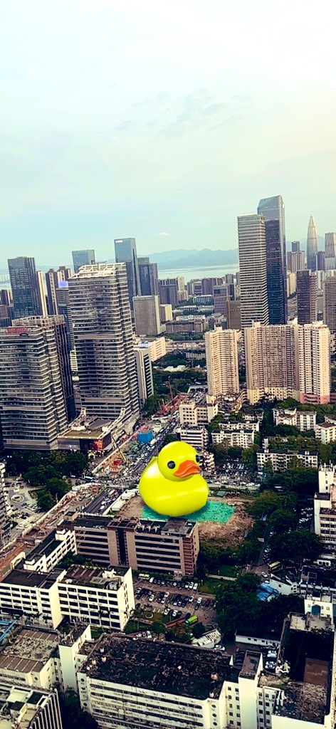 Part 3 of my trip to China: is there a gigantic @epikduckcoin being assembled near the Hong Kong bay?!!!
Can’t wait to see a fight between the Japanese Godzilla 🇯🇵 and the Chinese Epik Duck 🇨🇳! 

#ducksout