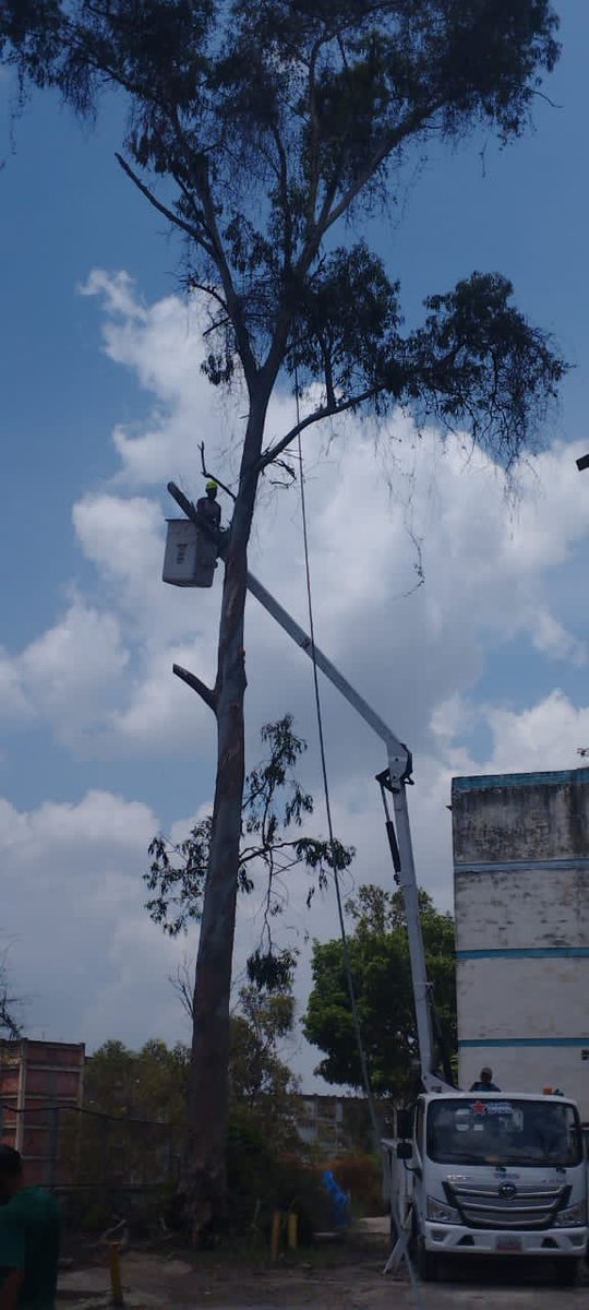 Dijo la alcaldesa @gestionperfecta que en Caracas, una de las solicitudes frecuentes mediante el 1 x 10 del Buen Gobierno es la poda de árboles y @Corp_libertador en despliegue permanente realizando este trabajo, en Montalbán II, La Vega. #EncuentroPazYDiálogo #27Abr #Oriele 🇻🇪