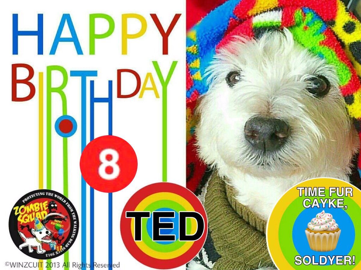 🎂Wishing a very 🎁HAPPY 8th BIRTHDAY🎉 to our pawsome pal, TED from Leada Lord Billy, and your ZombieSquad pals.🎈 We hope your special day is full of tasty treats, belly rubs & cayke, soldyer. RaaAAA!! ❤️💛🎂🎁🎈🎉 @sjchocaholic @ZSBirthday #ZSHQ