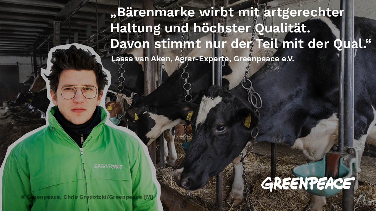 greenpeace_de's tweet photo. Leider wahr. Denn Bärenmarke verarbeitet Milch von Kühen, die ihr Leben lang eng im Stall angekettet sind. Keine frische Luft, kein direktes Sonnenlicht, dafür Schmerzen, Tristesse und der Blick ins Leere (oder auf eine dreckige Wand). https://t.co/ofBR224M0u