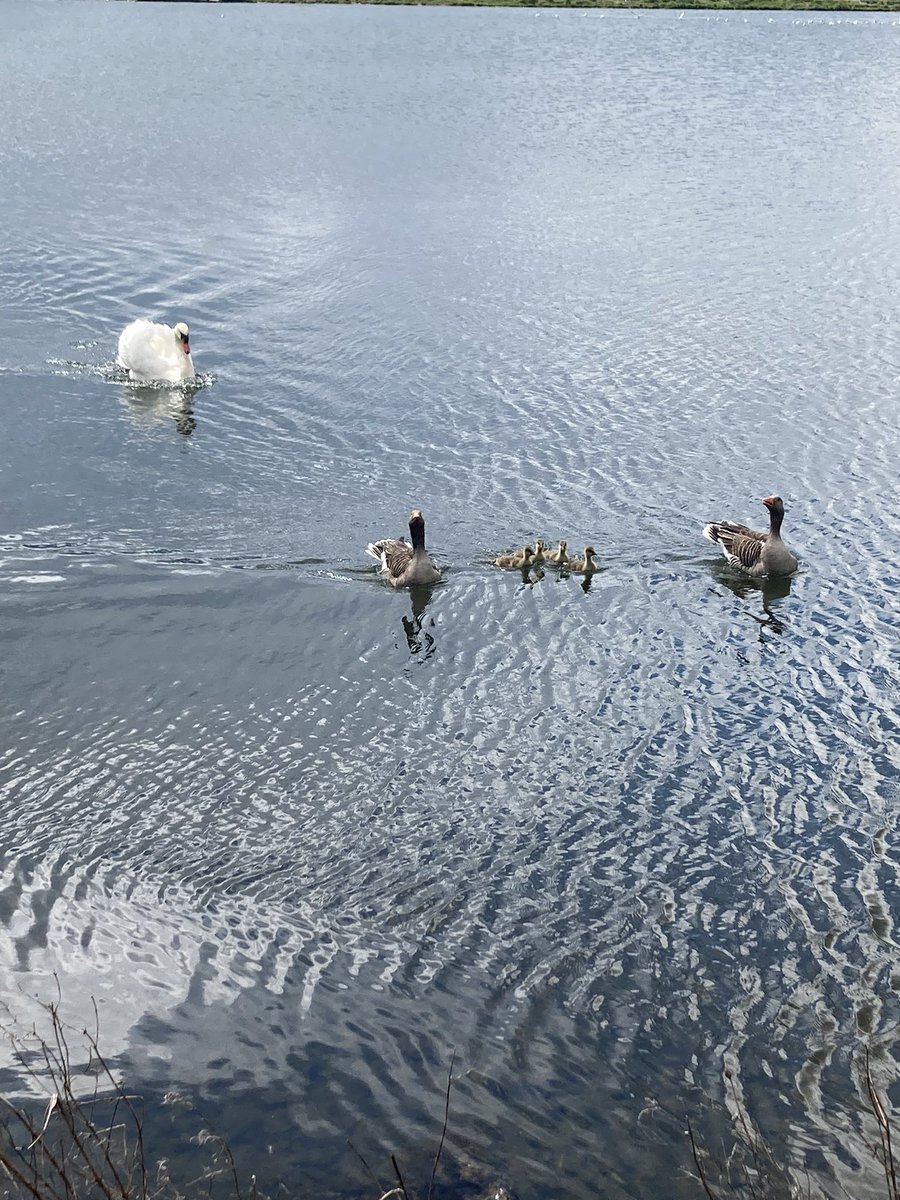 Come on <a href="/BarrowAFC/">Barrow AFC</a> one last push. Nervy afternoon coming up <a href="/lancandcrow/">Lancaster & Crowther</a> at Holker Street for <a href="/BarrowAFC/">Barrow AFC</a> v <a href="/mansfieldtownfc/">Mansfield Town FC</a> in <a href="/SkyBetLeagueTwo/">Sky Bet League Two</a> Pre match walk completed.