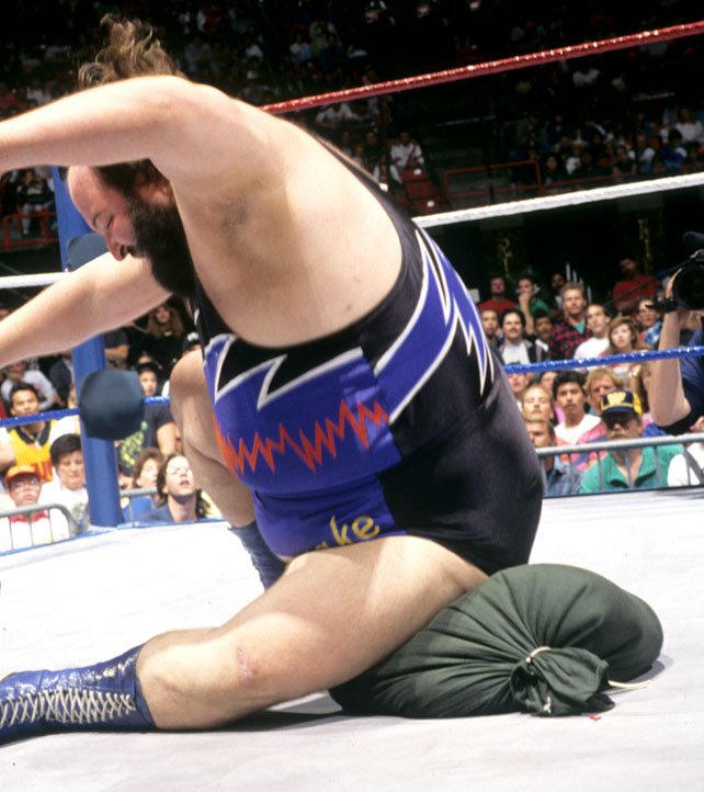 33 years ago today, Earthquake squashed Jake 'The Snake' Roberts' snake, Damien 🐍