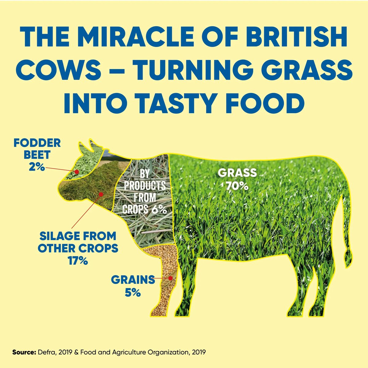 Back British cattle farming! 🐄 🇬🇧