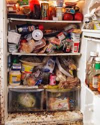 Your fridge makes you sick , clean it . Dirty fridges causes serious illnesses such as Norovirus or Shigella. Salmonella and Escherichia coli (E. coli) can multiply rapidly in such conditions . Mold spores deadly causes respiratory diseases and allergic reaction from dirty fridge