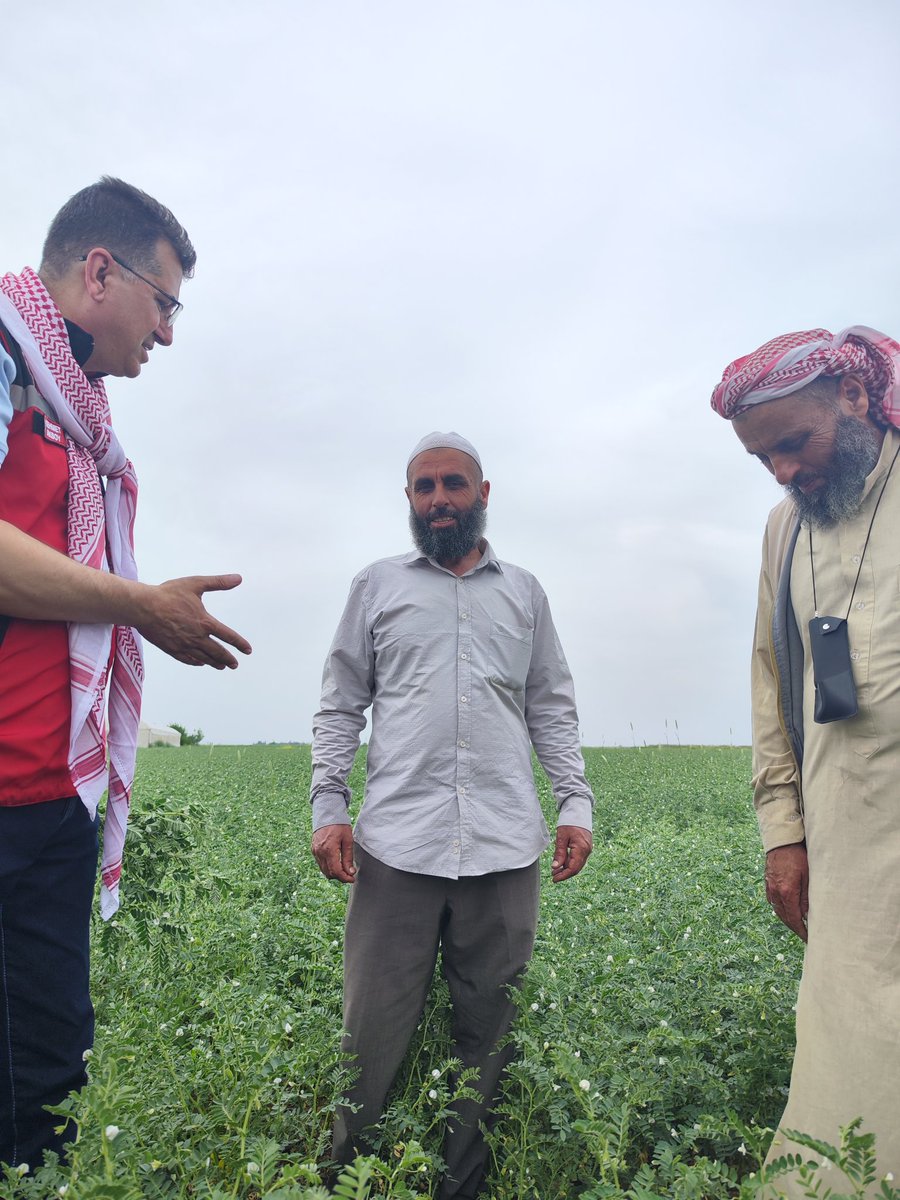 Sanliurfatarim's tweet image. İl Müdürümüz Mehmet AKSOY, yerinde yaptığı incelemede,&quot;Tanelerini yani Nohutu insan yiyor,bitkisi hayvana yem olarak kullanılıyor,azotu toprağa bırakmış oluyoruz.&quot; dedi. 
#azot #gübre