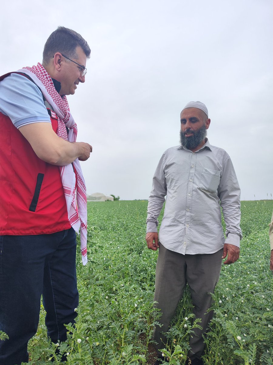 Sanliurfatarim's tweet image. İl Müdürümüz Mehmet AKSOY, yerinde yaptığı incelemede,&quot;Tanelerini yani Nohutu insan yiyor,bitkisi hayvana yem olarak kullanılıyor,azotu toprağa bırakmış oluyoruz.&quot; dedi. 
#azot #gübre