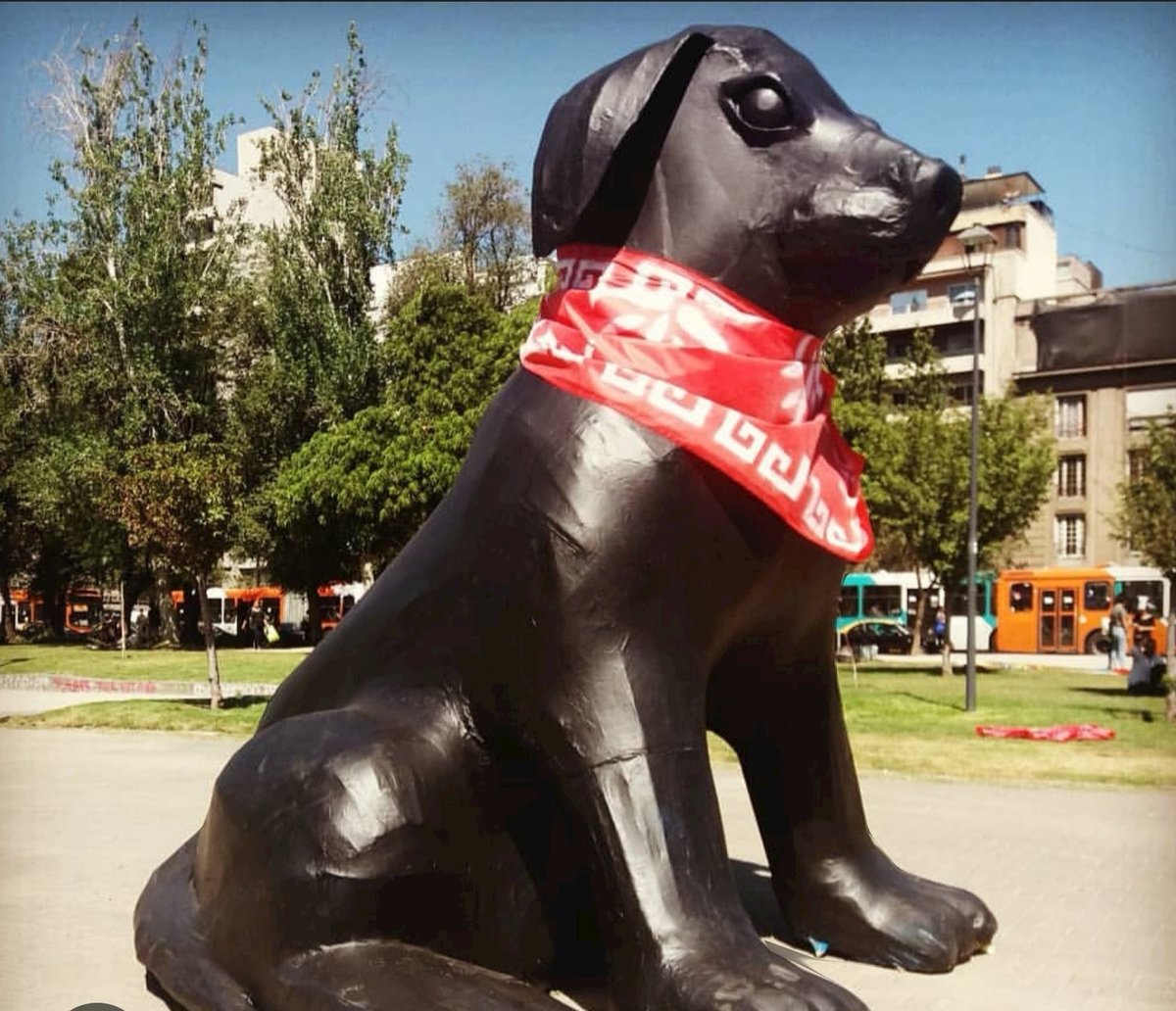 Como le llamaban a este perro ? Que hasta monumento le hicieron lo usaban en ponerse, afiches, etc... ' Perro MATAPACOS ' Disculpen el garabato pero PUTA que estoy enojado ....