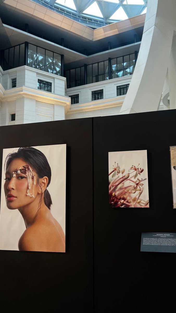 It’s the weekend, time to go to the museum.

Nadine Lustre x FACES AND FLORA
A Philippines Native Plant Photograpy Exhibit
Tuesdays to Sundays only | 9am-6pm thru May 31
National Museum of Natural History
Free Admission

#FacesAndFlora #NationalMuseumPH 
#NAM2024 
#NadineLustre