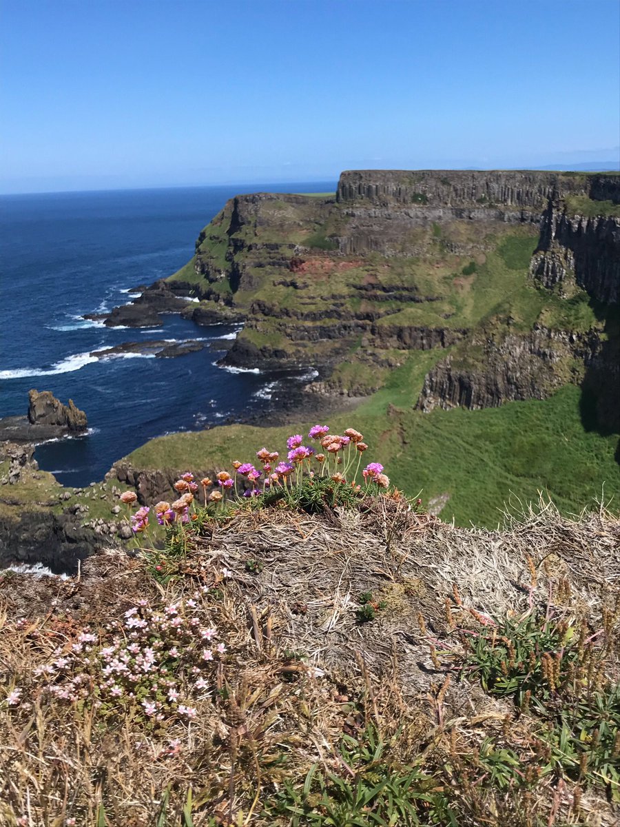 WE’RE HIRING! - we have a position for our Clifftop freelance guide pool. Guiding guests on the 5 mile hike from Dunseverick to the Giant’s Causeway. Our hiking guides are passionate walkers who love the outdoors and love showcasing our magnificent UNESCO coast.