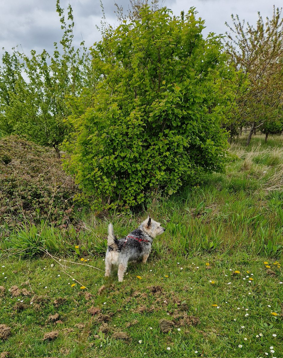 jennystape tweet picture