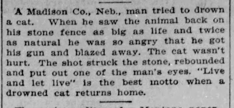 This week's #Caturday scorecard: Madison Co., Neb., man: 0 Madison Co., Neb., cat: 1 (Detroit Free Press 1894, via @_newspapers)