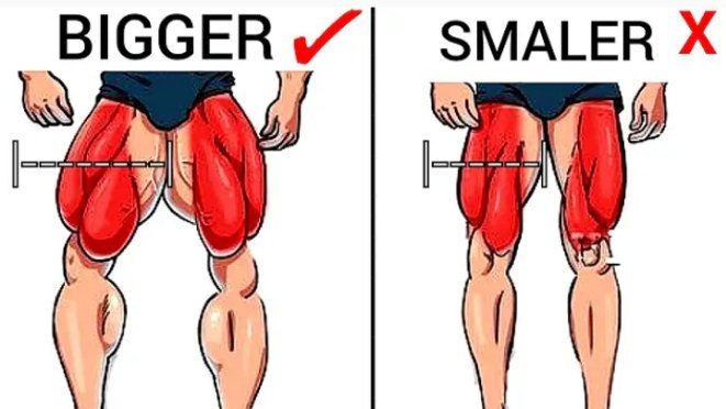 5 Hacks for Bigger Legs