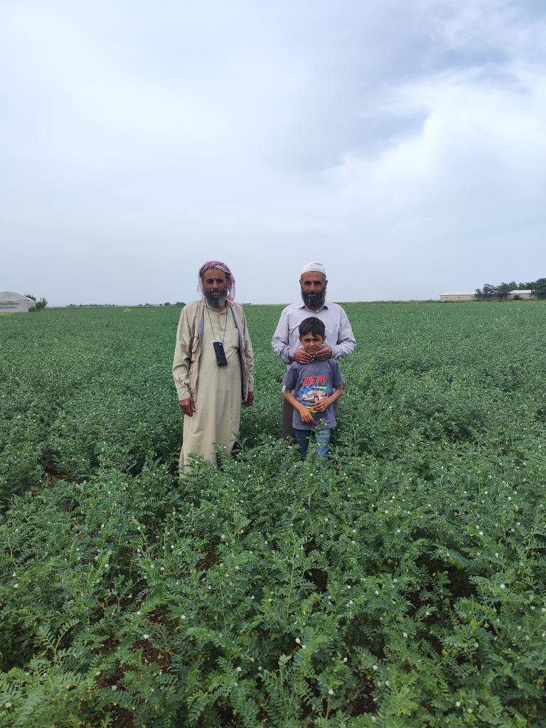 Sanliurfatarim's tweet image. İl Müdürümüz Mehmet AKSOY, yerinde yaptığı incelemede,&quot;Tanelerini yani Nohutu insan yiyor,bitkisi hayvana yem olarak kullanılıyor,azotu toprağa bırakmış oluyoruz.&quot; dedi. 
#azot #gübre
