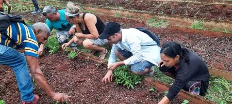 As part of the initiatives to salute the #InternationalWorkersDay, #workers from the Public Health directorate in #Baracoa joined today #foodproduction activities at a local vegetable garden.

#1Mayo #PorCubaJuntosCreamos #GenteQueSuma

📸 Dirección Municipal Salud Baracoa