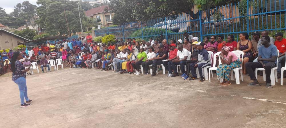 REMERA SECTOR tweet media