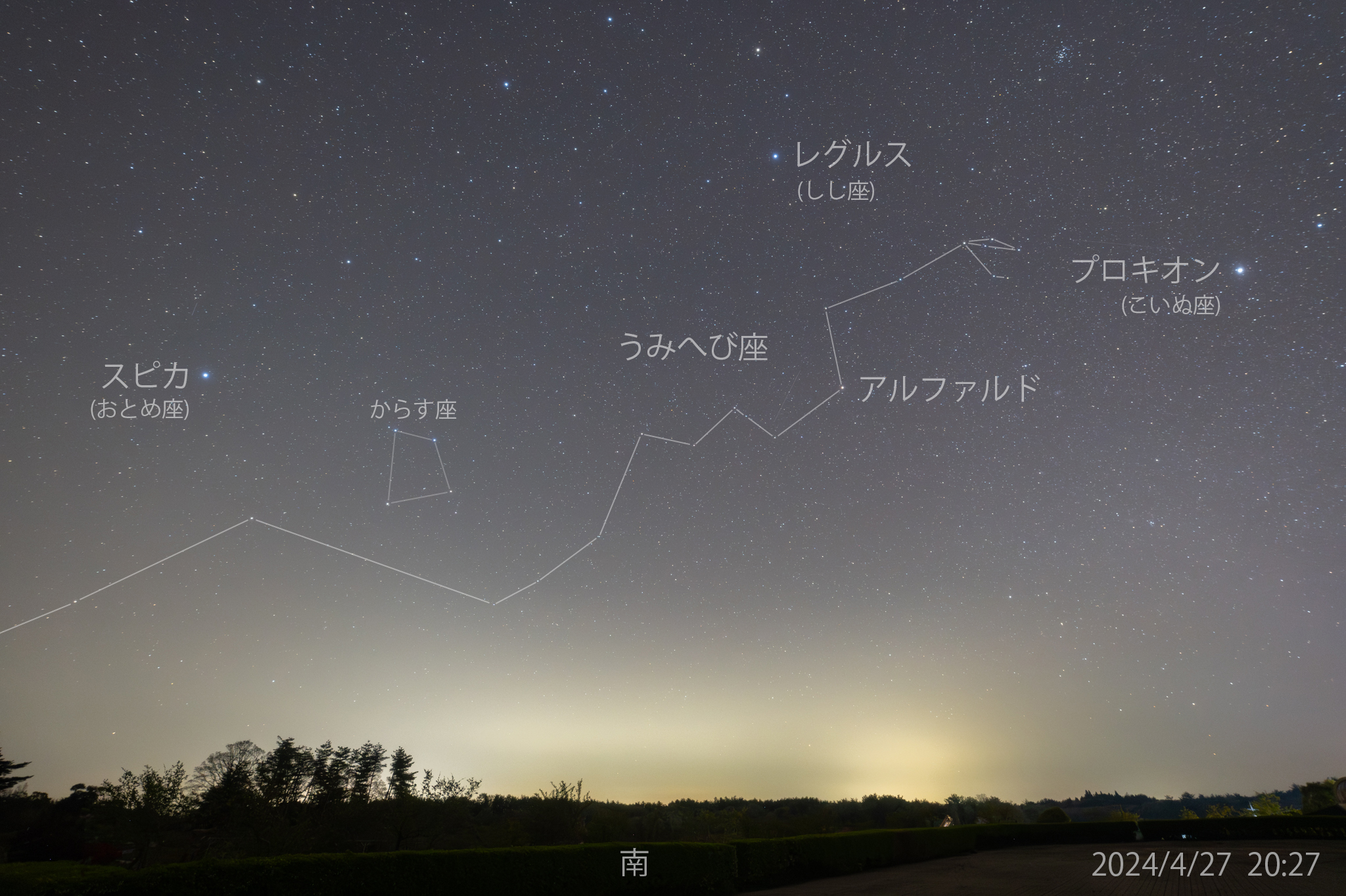 夜光貝　(三点おまとめ、海月様。)『三日月:猫×2::海亀』ペンダント 夜光貝ネックレス | 海猫屋
