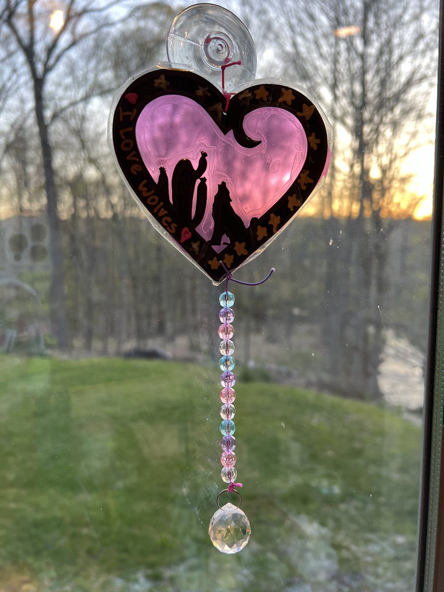 Dr. Stephanie Peborde Burke 🥽 tweet media