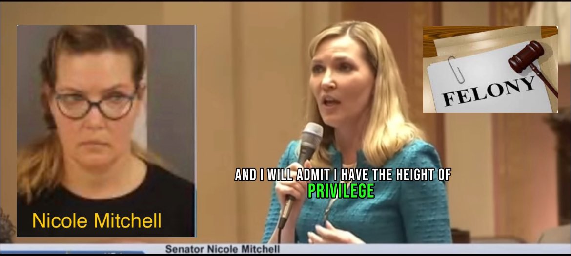 Is white privilege protecting her? Oh wait or maybe it’s DFL privilege? @Sen_NMitchell @WalterHudson youtu.be/Ny1FPkNB08o?si… #ResignNicoleMitchell