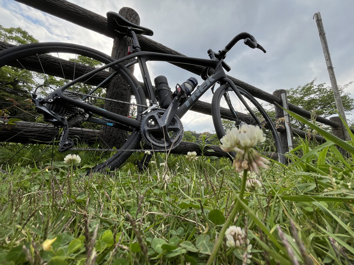 kjtweb's tweet photo. 久しぶりに中ノ島公園などなどなどライド。
とういか、マジ久しぶり自転車乗った。
この季節のライドは、気持ちいいですね。
#ロードバイク #ライド #TREK #DOMANE #RAPHA #RIDEFUKUOKA #RIDE #ROADBIKE #CYCLING #CYCLINGPHOTOS #トレック #ドマーネ  #ライド #サイクリング #ロードバイクのある風景 https://t.co/bWaZuRwlBy