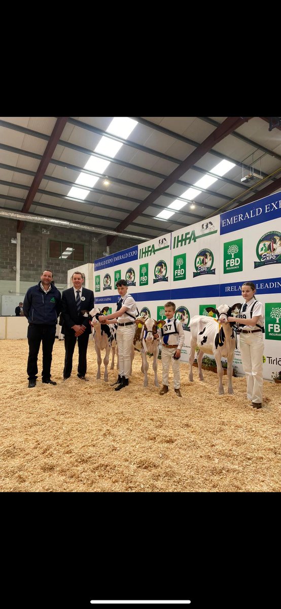 Extremely strong breeding at the Irish Holstein Friesian Association Emerald Expo in the Virginia Show Centre. Well done to all competitors.