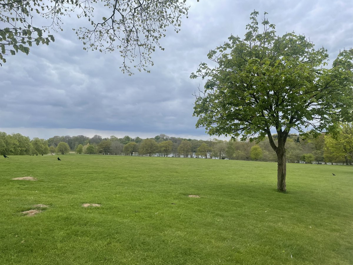 Anil Krishan (@anil_krishan_) on Twitter photo Final long run pre half marathon next weekend, to raise money for <a href="/TUF_tweets/">TheUrologyFoundation</a>. Some great views around my old uni <a href="/UniofNottingham/">Uni of Nottingham #WeAreUoN</a> and Wollaton Park🤌 v grateful for any donations!
justgiving.com/page/anil-kris… Final long run pre half marathon next weekend, to raise money for <a href="/TUF_tweets/">TheUrologyFoundation</a>. Some great views around my old uni <a href="/UniofNottingham/">Uni of Nottingham #WeAreUoN</a> and Wollaton Park🤌 v grateful for any donations!
justgiving.com/page/anil-kris…