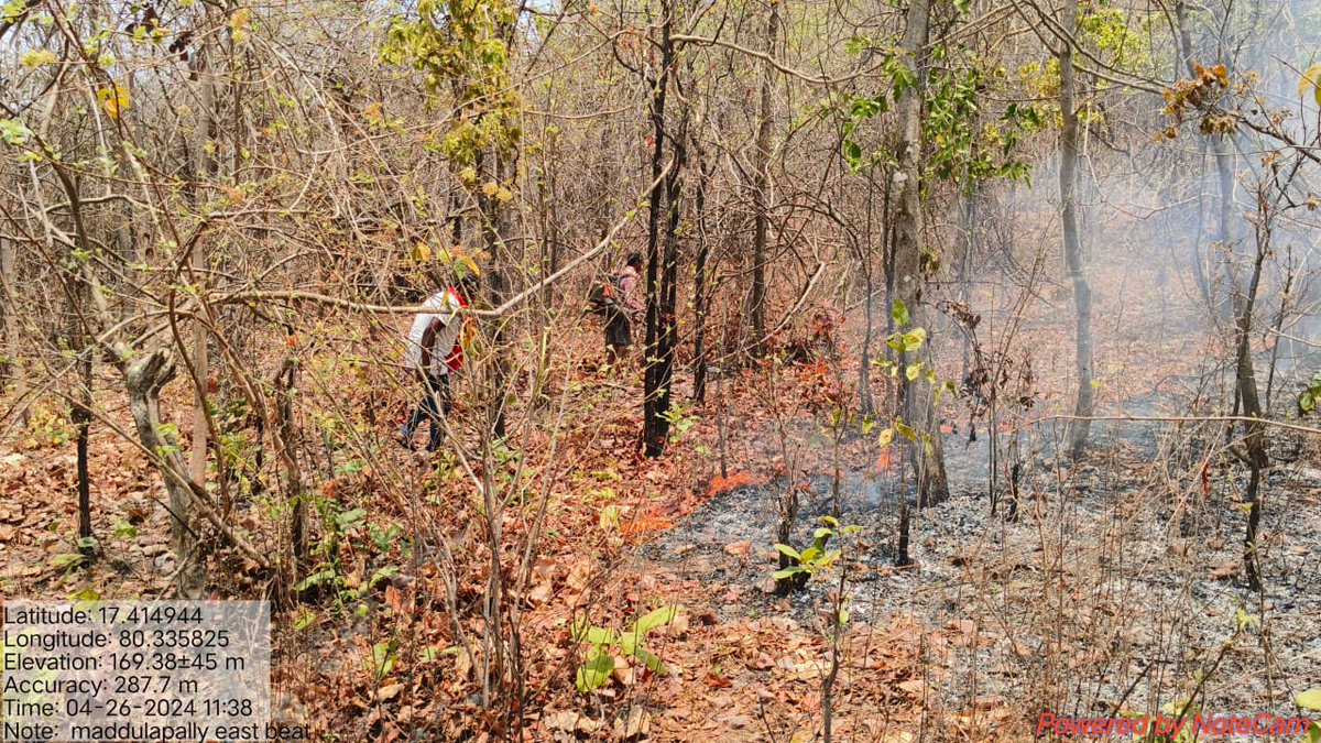 All efforts are being put by our green warriors to save forest and wildlife from forest fires. The public at large is requested to support the dept & ensure Zero littering and use of fire near the forest areas.