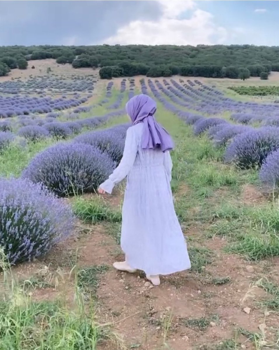 Ne çok gencecik fidanları bağrına kattın ey kara toprak. Onlara buyur derken nasıl dayandın bu zalim diktatörün ettiklerine.Birgün o zalimde senin bağrına indirildiğinde o mazlumlarla onlara zulmeden bu zalimi bir tutma.Bir tutarsan hesap gününde topraktan davacıyım derim bilesin