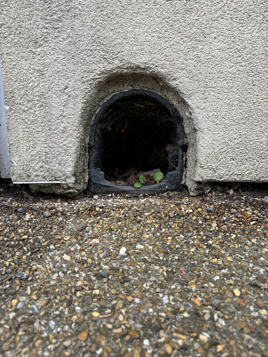 theDuncanMackay's tweet image. The boot scrapers of Beccles.
#BootScraperSaturday