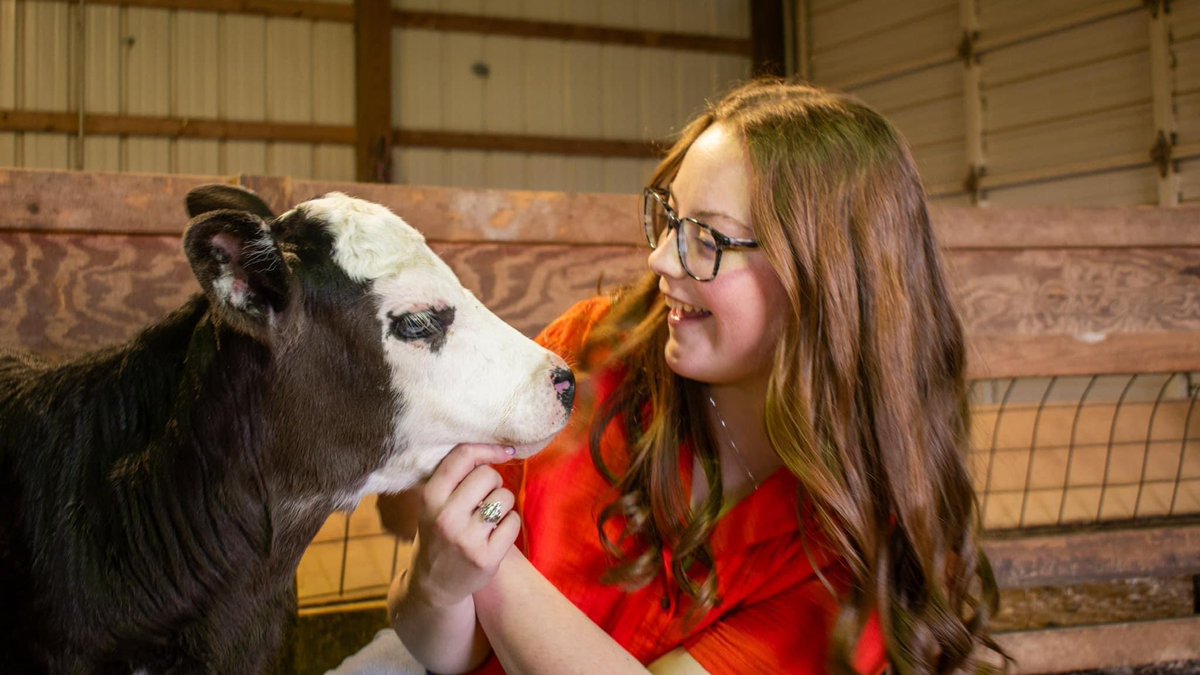 It’s World Veterinary Day! The Veterinary Science & Technology major is one of the fulfilling career paths at @utmartin by @SkyhawkAggie. utm.edu. Growing the Future!