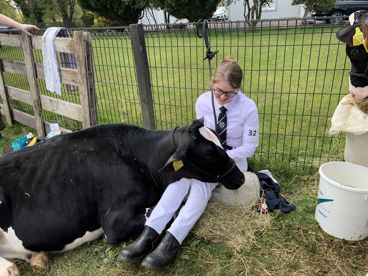 Anthea_Dickson's tweet photo. Show & spectacle a plenty at #BeithShow today. Everything looking their best in the glorious sunshine. Must have been difficult for the judges. Fun for all the family. #GarnockValley #BeithFarmersSociety https://t.co/4f1tCJCjSj