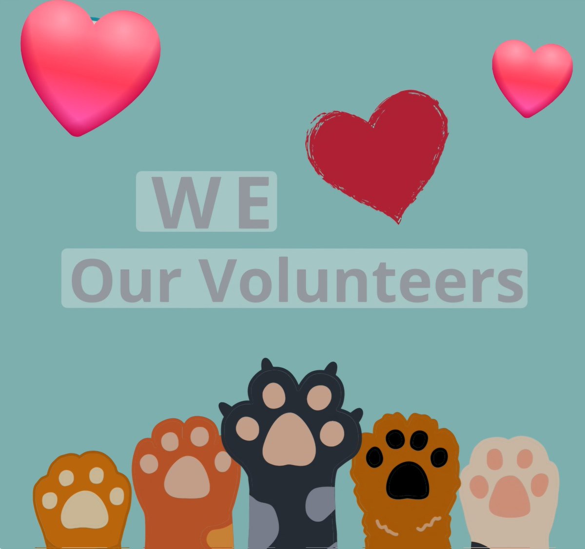 What a wonderful week of celebration! 🥳 Happy Volunteer Week to all of Danny & Ron's Rescue volunteers! We 💖 our Volunteers! Great appreciation to all who volunteer to help others, human & animals!! 💖 Read about celebrating volunteers; pointsoflight.org/national-volun…