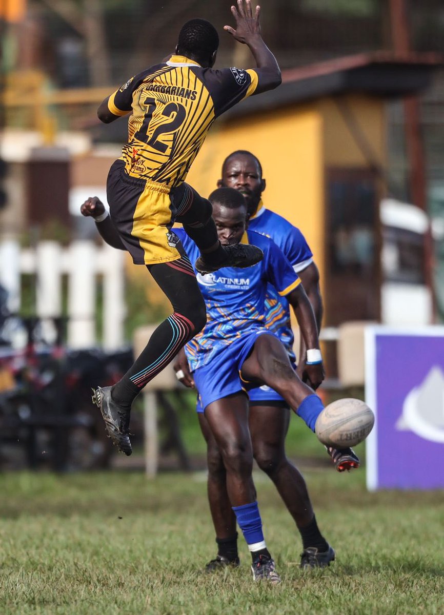 𝐒𝐂𝐎𝐑𝐄 𝐔𝐏𝐃𝐀𝐓𝐄𝐒: 🟡HEATHENS 17:00 @WalukubaRugbyUg The boys are putting in a great shift in the first half. #HeathensTuko || #MunguNiWetu || #NileSpecialRugby || #KyadondoIsHome