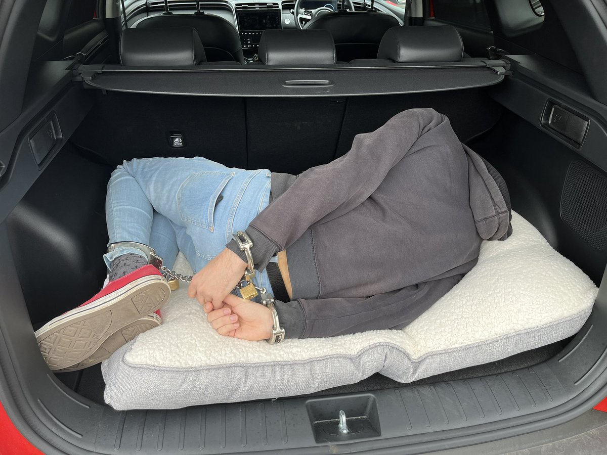 seaturtle86 tweet media