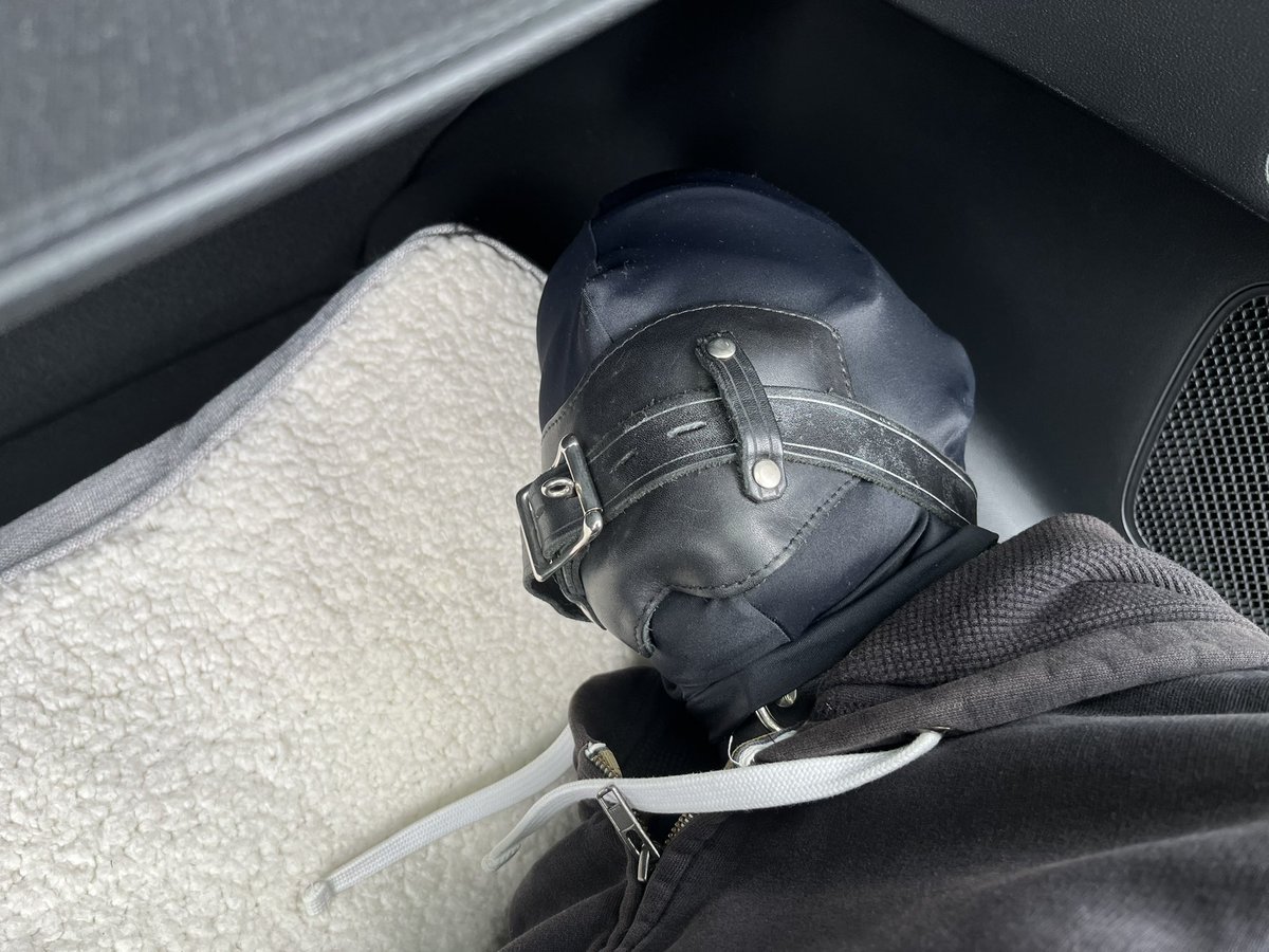 seaturtle86 tweet media