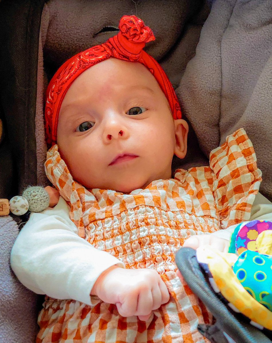 PjjJunior's tweet photo. Waar kun je het beste je allereerste Koningsdag vieren?
Natuurlijk in #Sliedrecht bij opa en oma 👑
Opa’s Frummeltje Rinley heeft het prima naar haar zin 🥰
#kleinkind #kleindochter #grootouder #grootouders #opa #Frummeltje #liefde #gezin #familie #dankbaar #dankbaarheid #baby https://t.co/sKRYw6tcjP