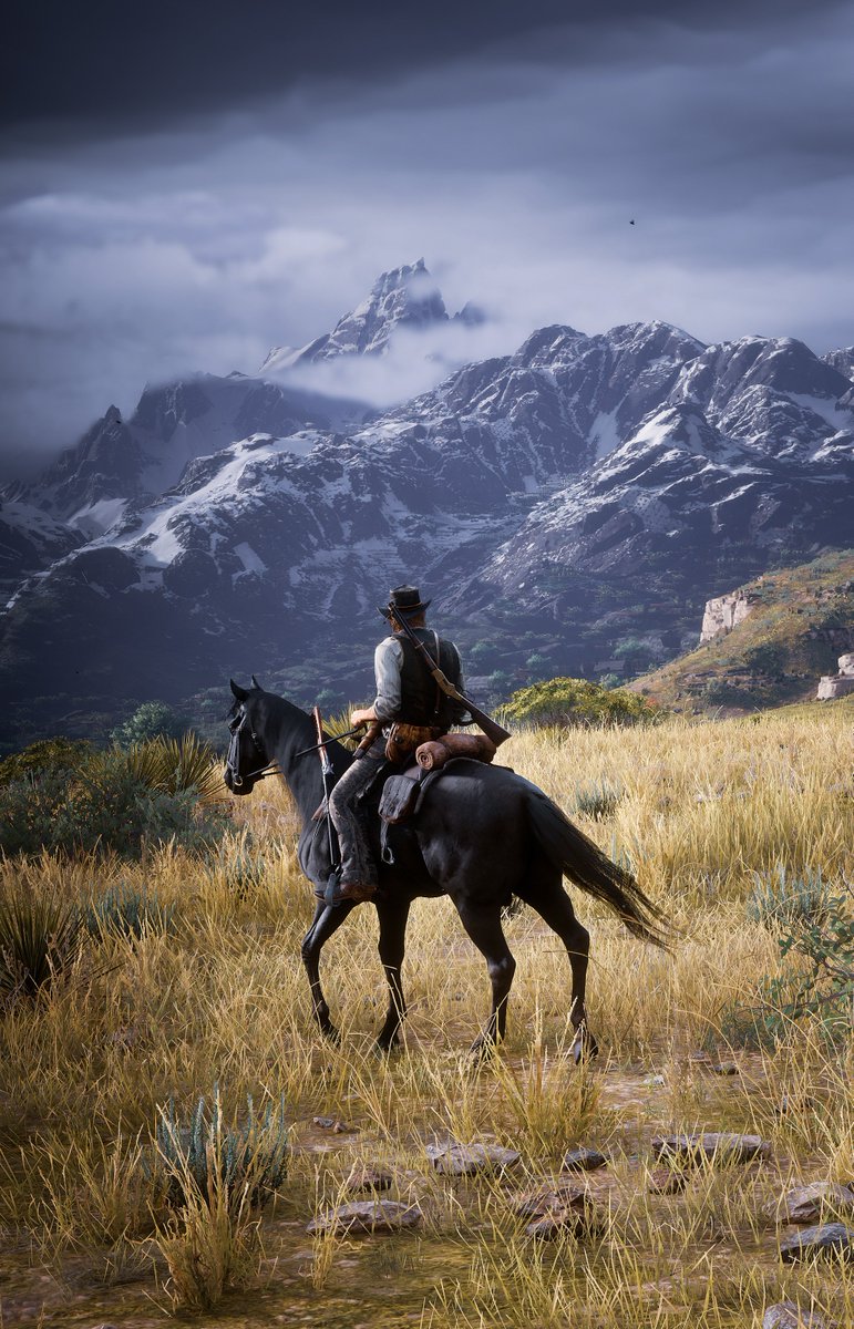 Red Dead Redemption II